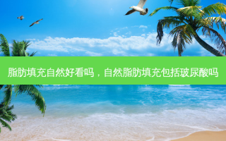 脂肪填充自然好看吗，自然脂肪填充包括玻尿酸吗