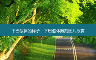 下巴假体的样子，下巴假体雕刻图片欣赏