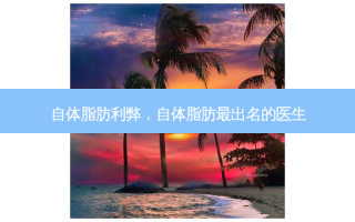 自体脂肪利弊，自体脂肪出名的医生