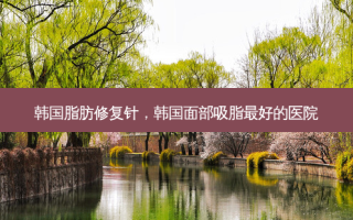 韩国脂肪修复针，韩国面部吸脂好的医院