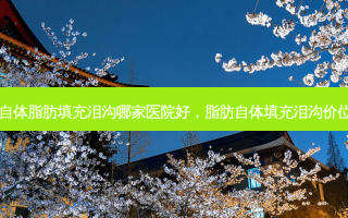 自体脂肪填充泪沟哪家医院好，脂肪自体填充泪沟价位