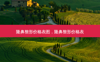 隆鼻整形价格表图，隆鼻整形价格表