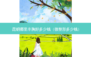 昆明哪里丰胸好多少钱（微整形多少钱）