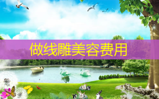做线雕美容费用