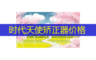 时代天使矫正器价格