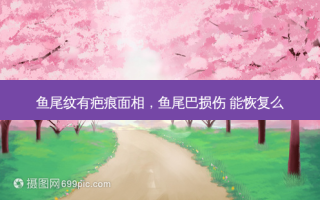 鱼尾纹有疤痕面相，鱼尾巴损伤 能恢复么