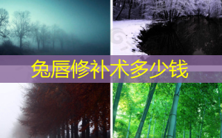 兔唇修补术多少钱