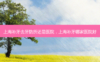 上海补牙去牙防所还是医院，上海补牙哪家医院好