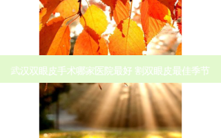 武汉双眼皮手术哪家医院好 割双眼皮佳季节