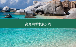 高鼻梁手术多少钱