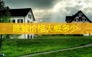 除皱价格大概多少