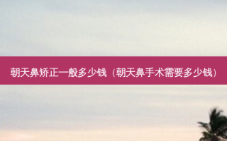朝天鼻矫正一般多少钱（朝天鼻手术需要多少钱）