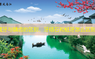 黄牙与龋齿的区别，牙结石和蛀牙怎么区别