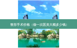 整形手术价格（做一次医美大概多少钱）