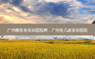 广州哪里有美容医院啊，广州有几家美容医院