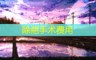 除疤手术费用