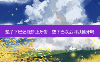 垫了下巴还能矫正牙齿，垫下巴以后可以箍牙吗
