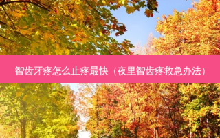 智齿牙疼怎么止疼快（夜里智齿疼救急办法）