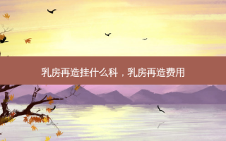  *** 再造挂什么科， *** 再造费用