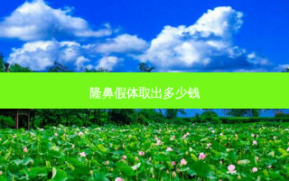 隆鼻假体取出多少钱