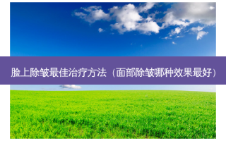 脸上除皱佳 *** （面部除皱哪种效果好）