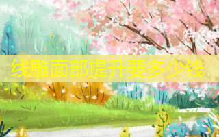 线雕面部提升要多少钱