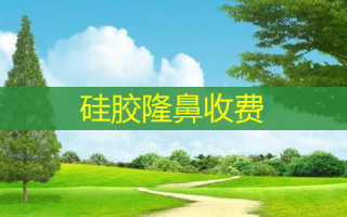 硅胶隆鼻收费