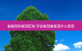 桩核冠和桩冠区别 牙齿桩冠修复是什么意思