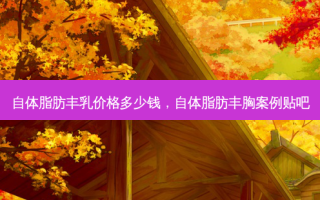 自体脂肪丰乳价格多少钱，自体脂肪丰胸案例贴吧