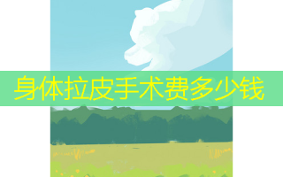 身体拉皮手术费多少钱