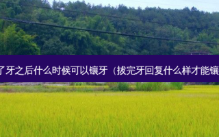 拔了牙之后什么时候可以镶牙（拔完牙回复什么样才能镶牙）
