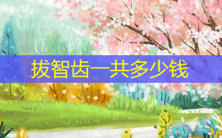 拔智齿一共多少钱