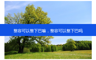 整容可以整下巴嘛，整容可以整下巴吗