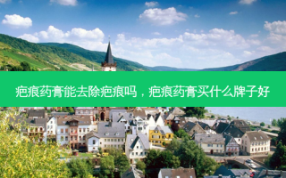 疤痕药膏能去除疤痕吗，疤痕药膏买什么牌子好