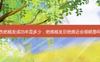伤疤植发成功率是多少，疤痕植发后疤痕还会很明显吗
