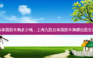 九院自体脂肪丰胸多少钱，上海九院自体脂肪丰胸哪位医生做的好