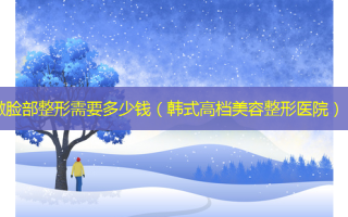 做脸部整形需要多少钱（韩式高档美容整形医院）