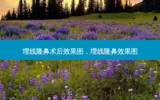 埋线隆鼻术后效果图，埋线隆鼻效果图