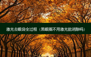 激光去眼袋全过程（黑眼圈不用激光能消除吗）