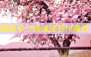 隆鼻多少钱诚信苏州康美