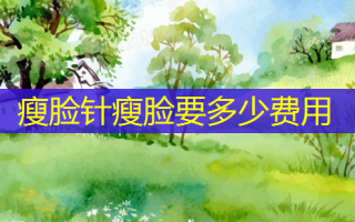 瘦脸针瘦脸要多少费用