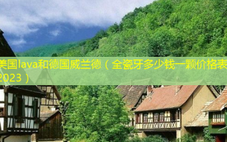 美国lava和德国威兰德（全瓷牙多少钱一颗价格表2023）