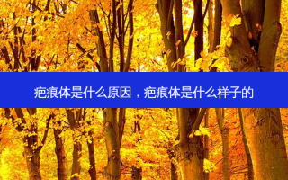 疤痕体是什么原因，疤痕体是什么样子的