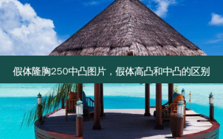 假体隆胸250中凸图片，假体高凸和中凸的区别