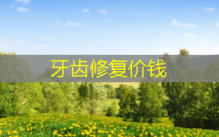 牙齿修复价钱