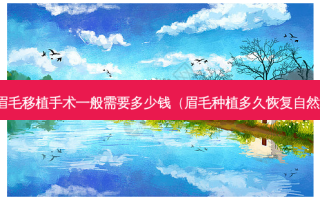 眉毛移植手术一般需要多少钱（眉毛种植多久恢复自然）