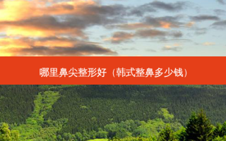 哪里鼻尖整形好（韩式整鼻多少钱）