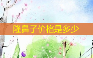隆鼻子价格是多少