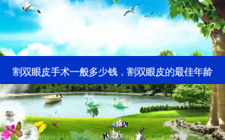 割双眼皮手术一般多少钱，割双眼皮的 *** 年龄