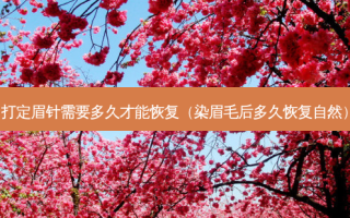 打定眉针需要多久才能恢复（染眉毛后多久恢复自然）